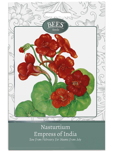 Nasturtium Empress of India